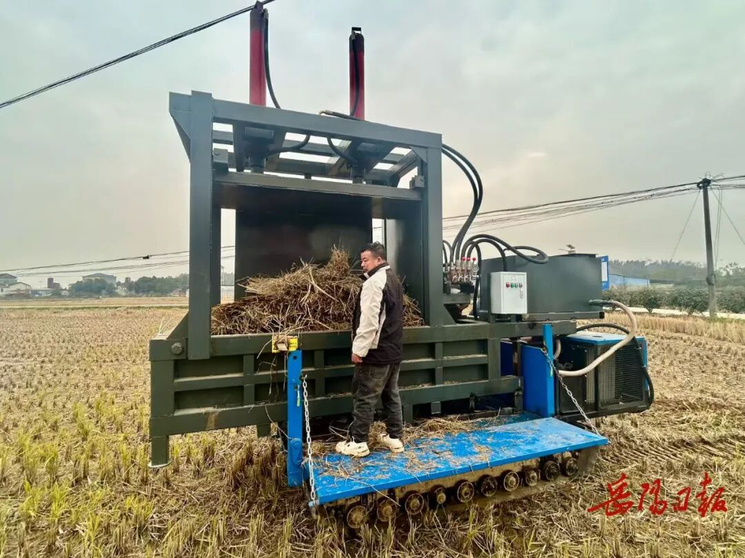 要生态，也要口袋！一位种粮大户的绿色账本