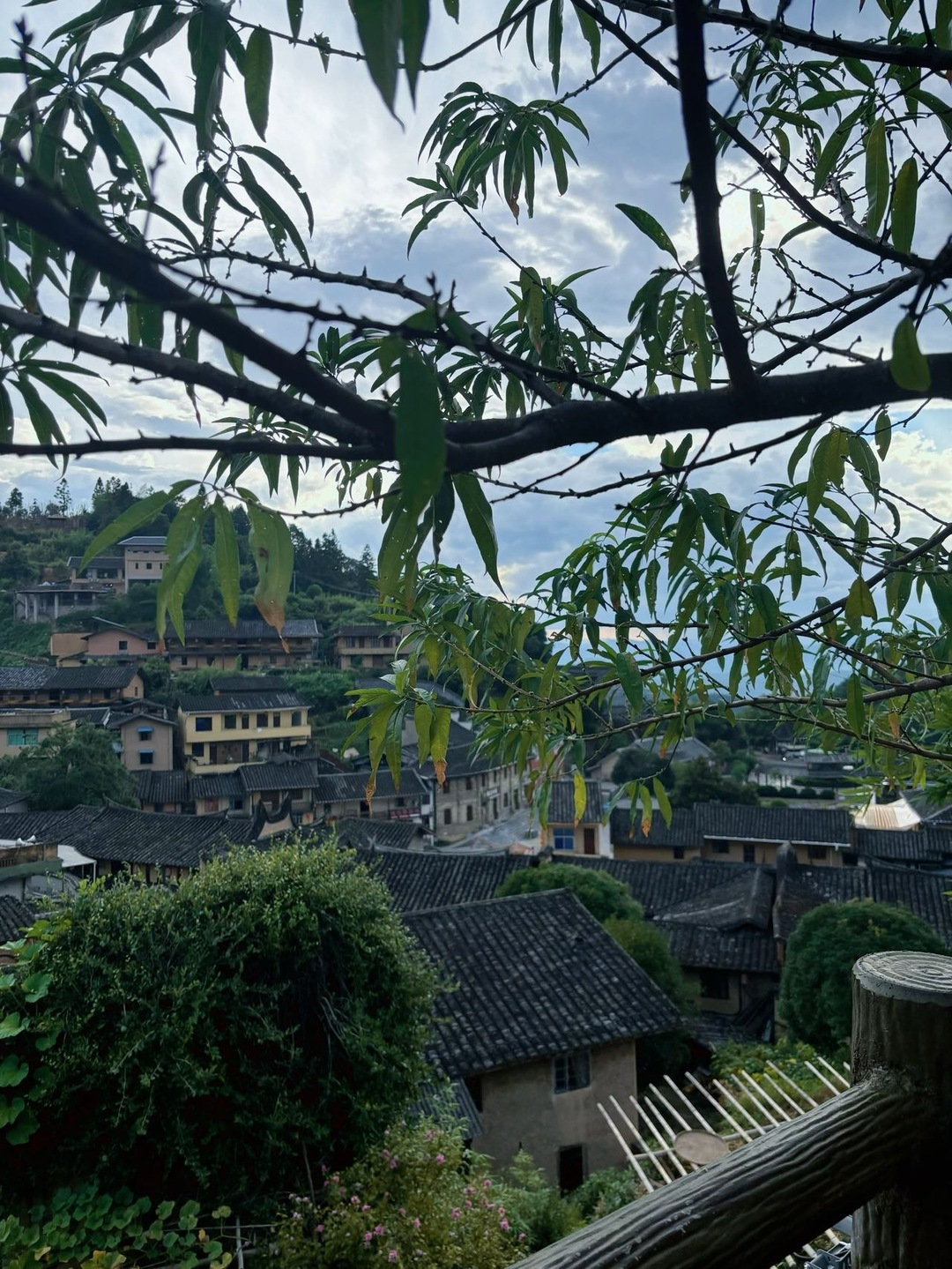 新楼与旧墙，在山的怀抱里交换着年轮