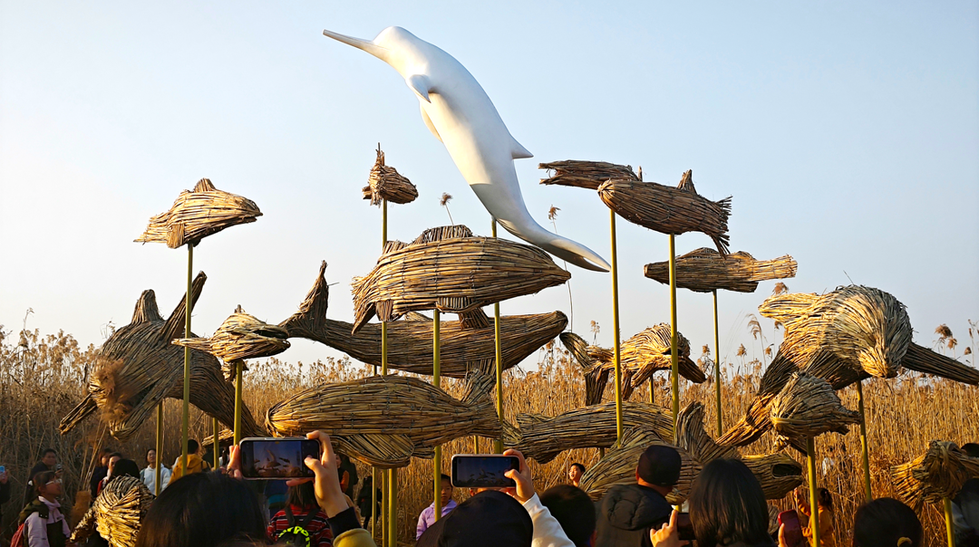 共赴芦苇荡生态艺术盛宴