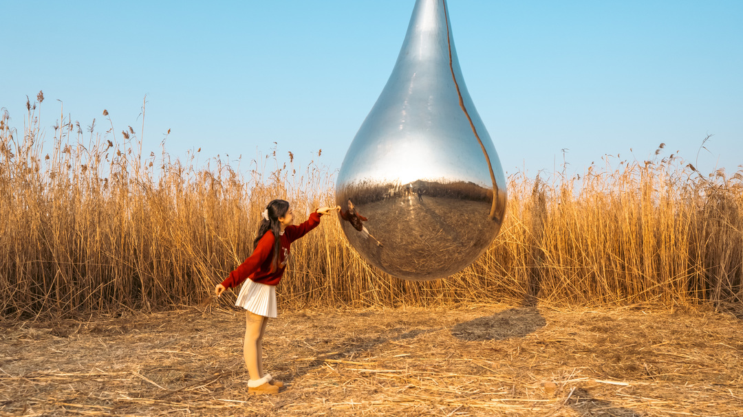 2025年第三届天下洞庭国际芦苇艺术季  “芦苇艺术随手拍”大赛活动等你来