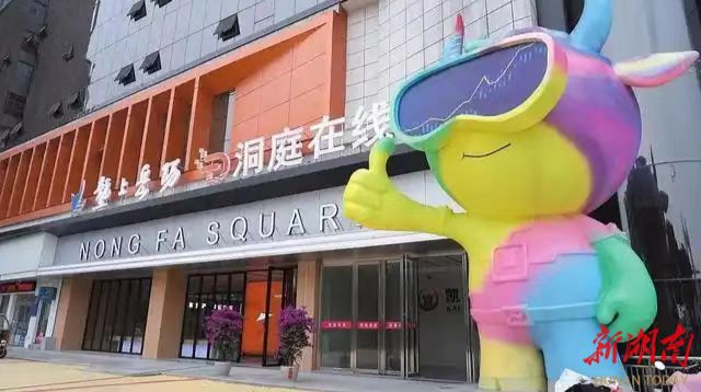 岳阳楼区乘“数”而上兴经济@湖南日报头条