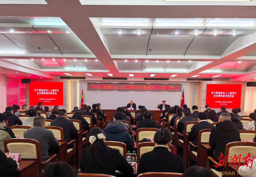 深化数据赋能 优化政务服务 以全会精神引领数字岳阳新发展