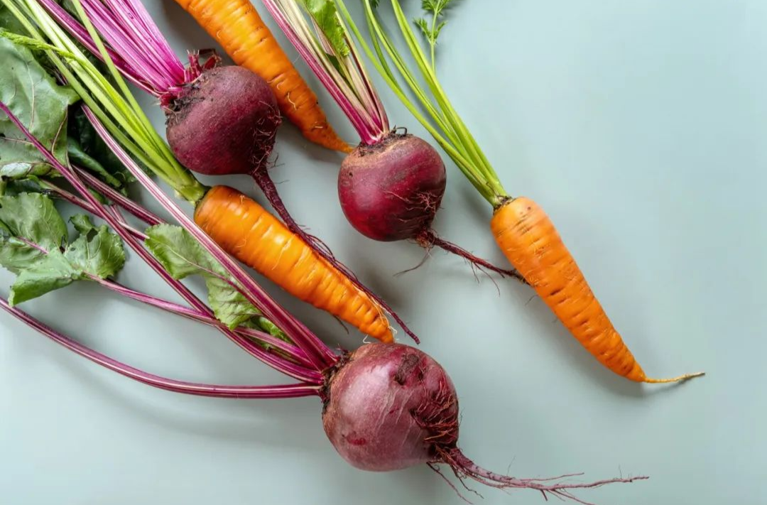 周末·美食丨冬天限定的“神仙菜”！好吃又有营养 这份时令美味别错过