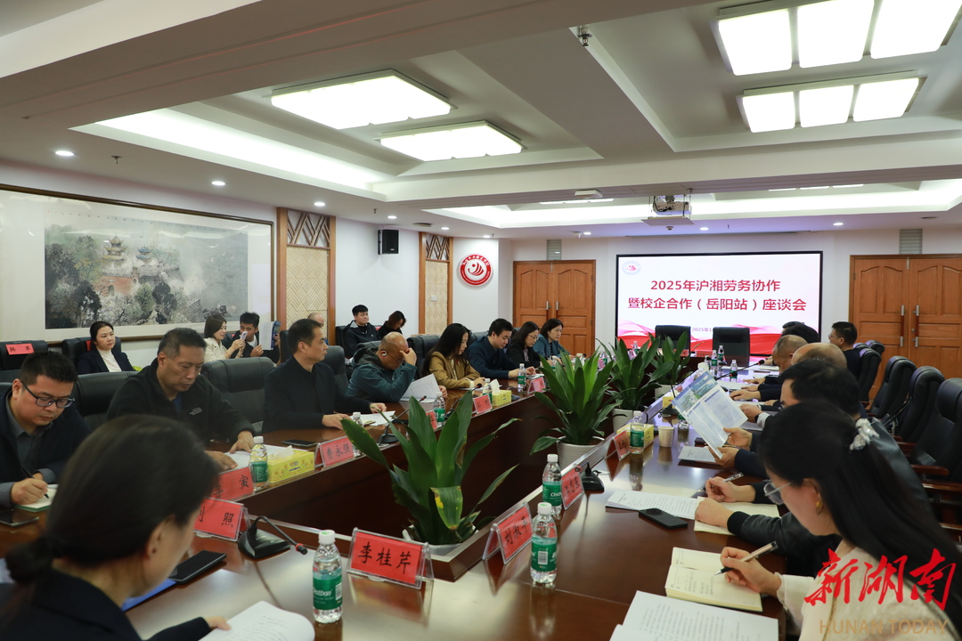 助力高质量就业  沪湘劳务协作专场招聘活动在岳阳职院举办