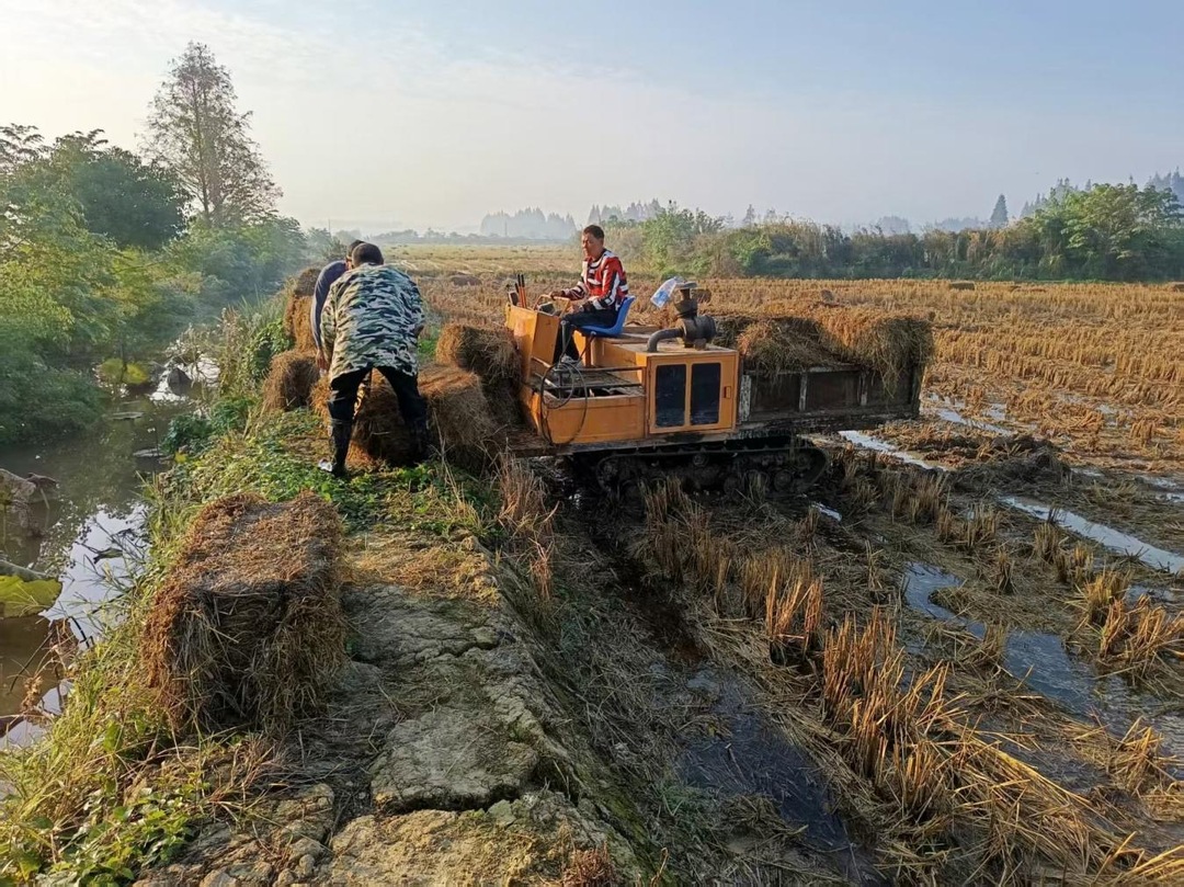 十日攻坚！湘阴县南湖洲镇实现全域火点与存量秸秆“双清零”