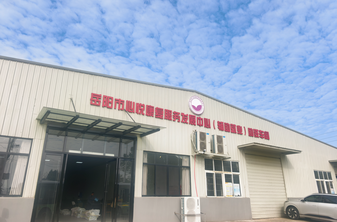 在岳阳，三百多个“折翼天使”有了温馨的家@湖南日报