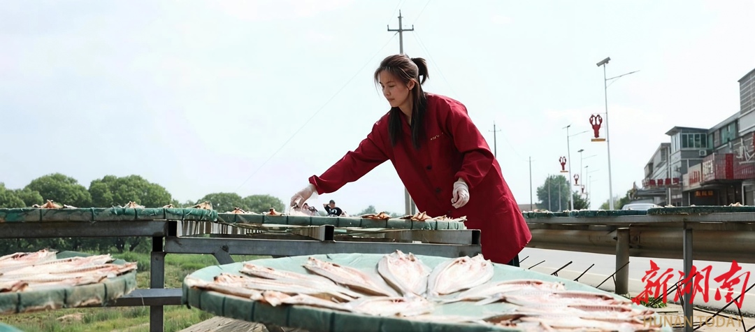 岳阳市君山区：高质量就业筑牢民生根基 激发区域发展新动能