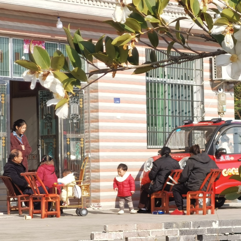 周公塘的冬日素描