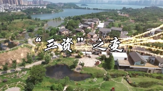 【“与理有岳·新思想青年说”】（第二辑）第二十一期：“三资”之变