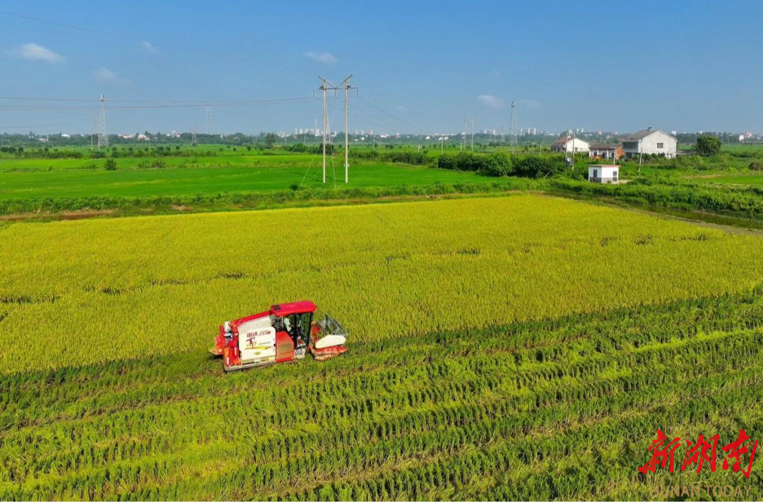 屈原管理区：“三线一单”绘就绿色发展新画卷