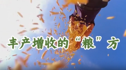 【“与理有岳·新思想青年说”】（第二辑）第二十八期：丰产增收的“粮”方