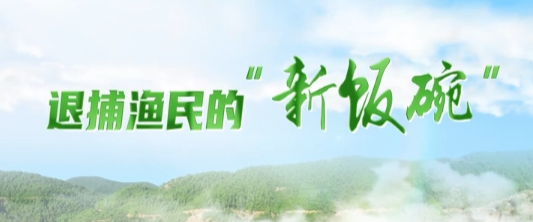 【“与理有岳·新思想青年说”】（第二辑）第二十四期：退捕渔民的新“饭碗”