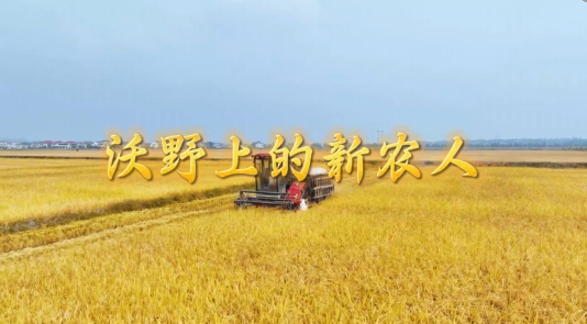 【“与理有岳·新思想青年说”】（第二辑）第二十六期：沃野上的新农人