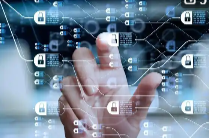 财信证券以数字化锻造发展引擎 书写“五篇大文章”动能源源而来