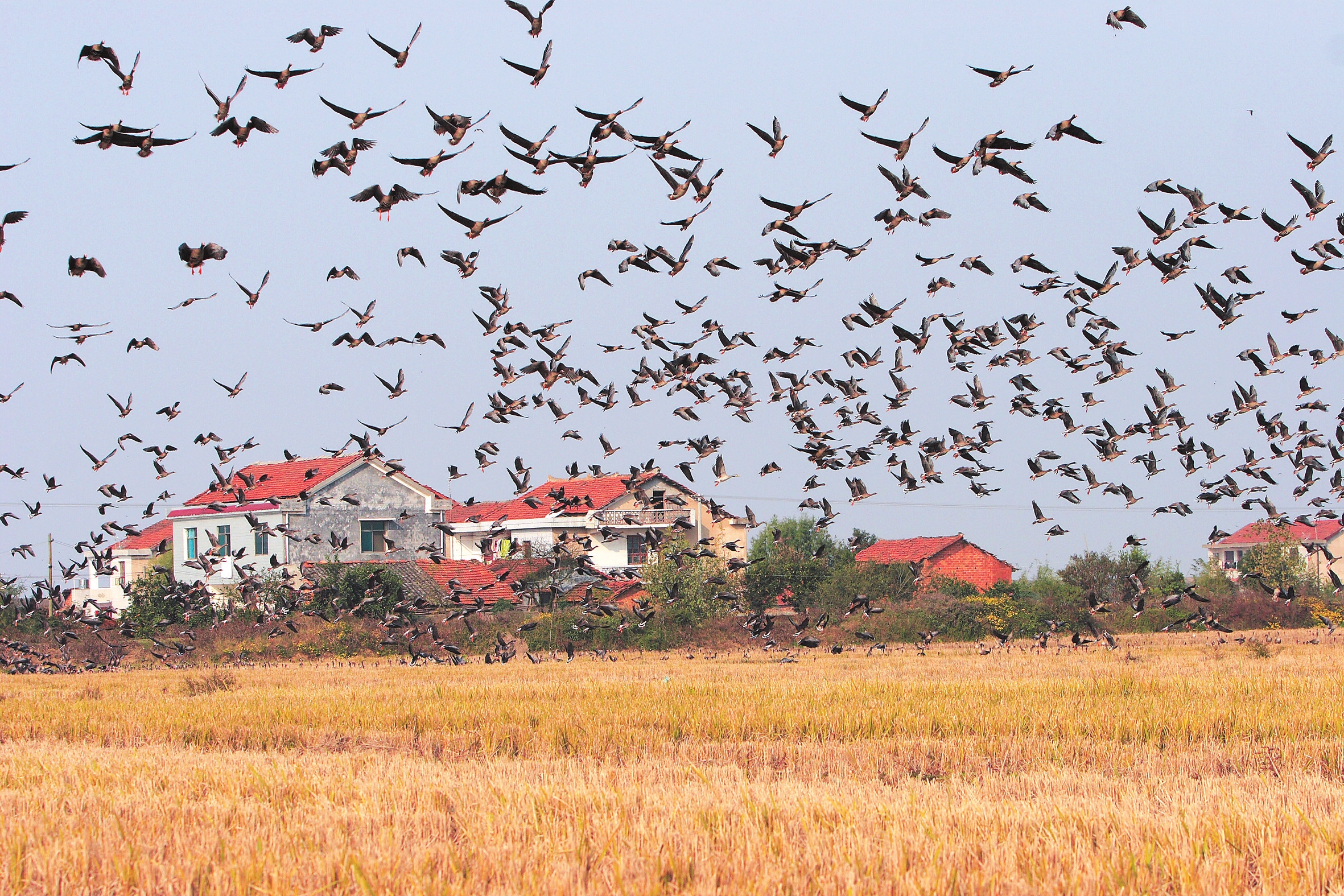 生态蝶变绘就美丽画卷