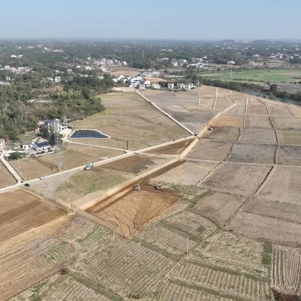 冬闲变冬忙 沃土焕新颜 ！汨罗冬季高标准农田建设如火如荼