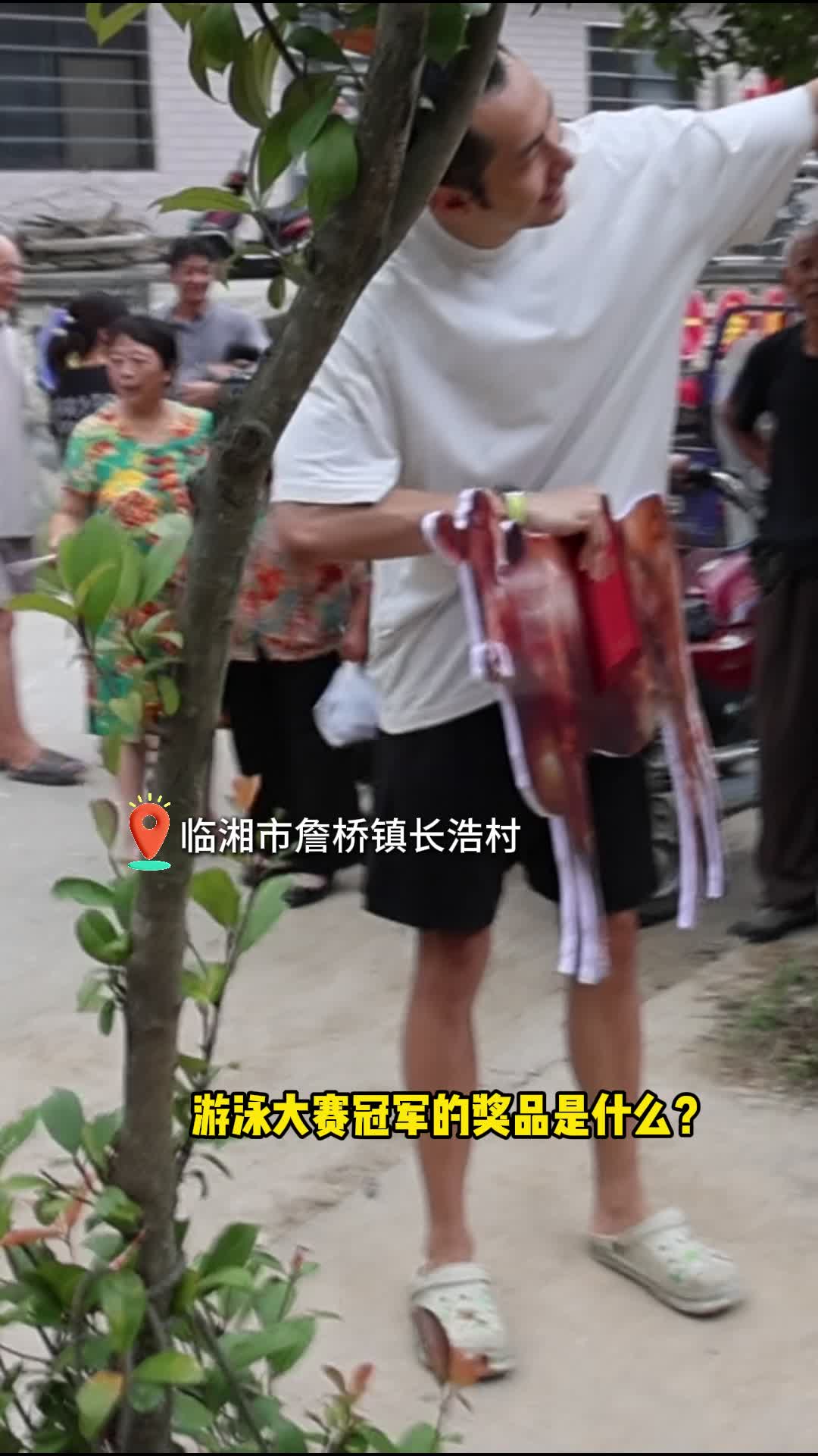 水花里牵出一头牛！这个小镇的游泳比赛不简单